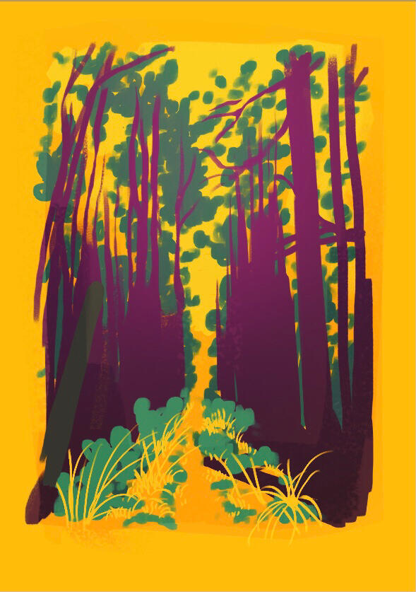 Color &amp; Composition practice, 2025