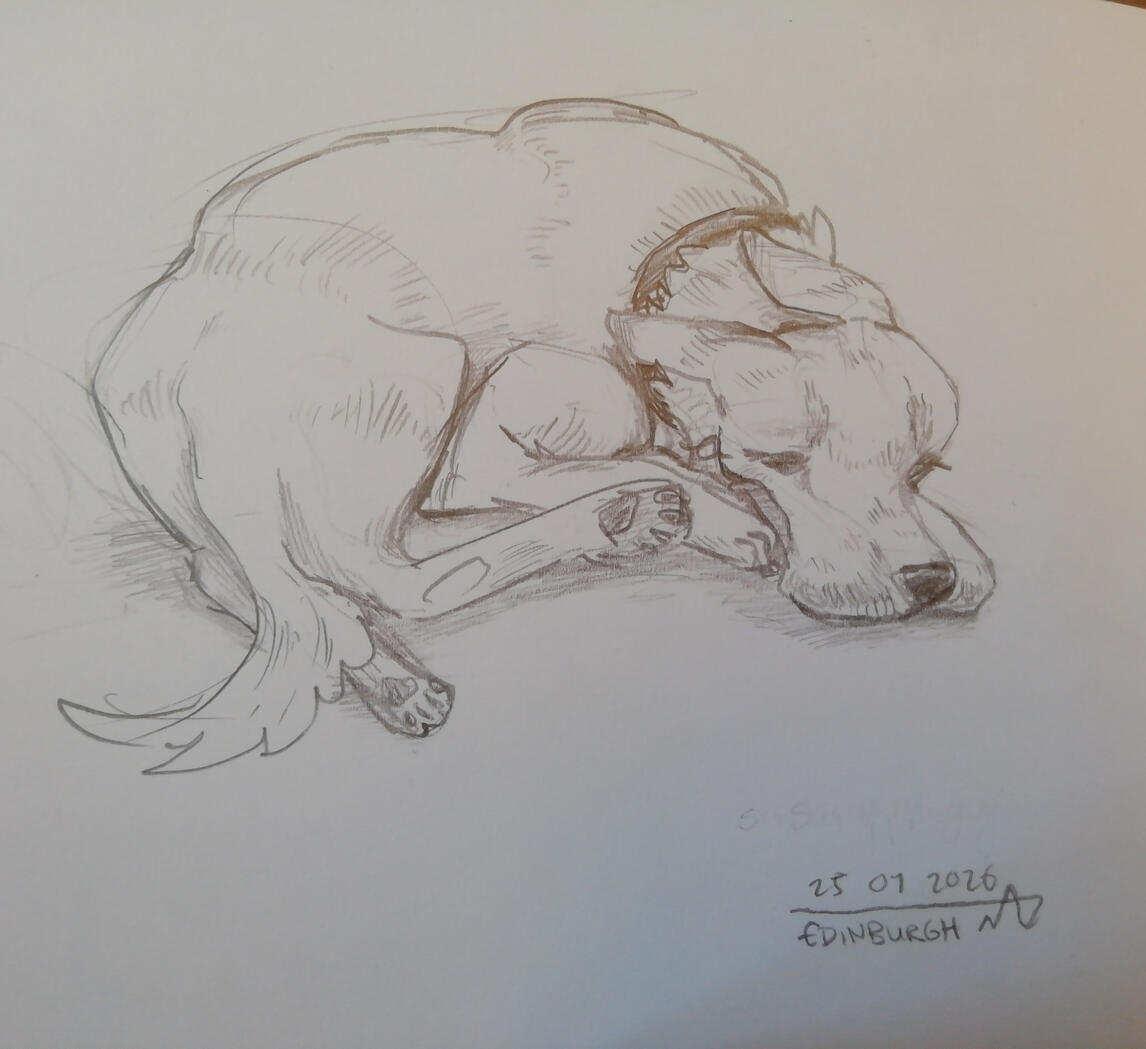 Sketchbook