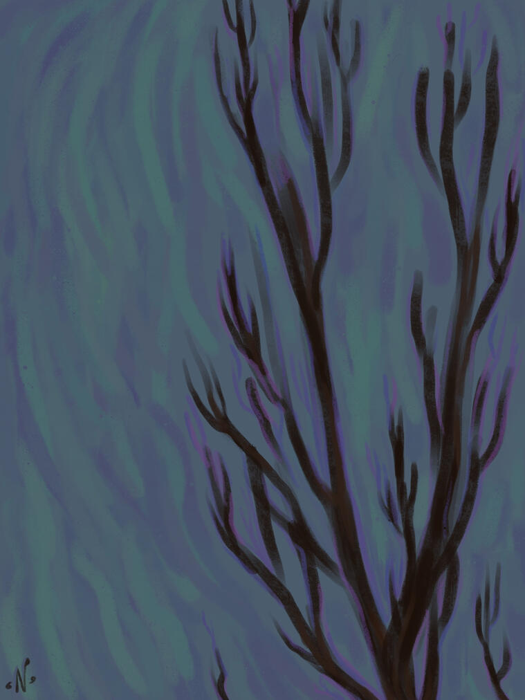 Untitled Untitled