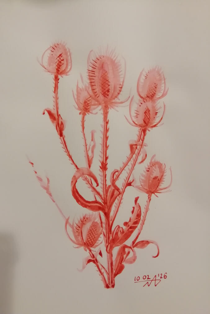 Ink on paper, 2026 Ink on paper, 2026