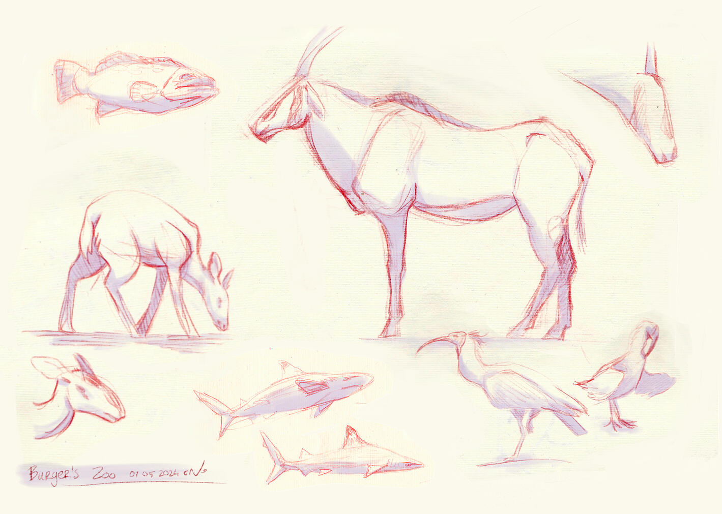 Mixed traditional & digital, 2024 Mixed traditional & digital, 2024