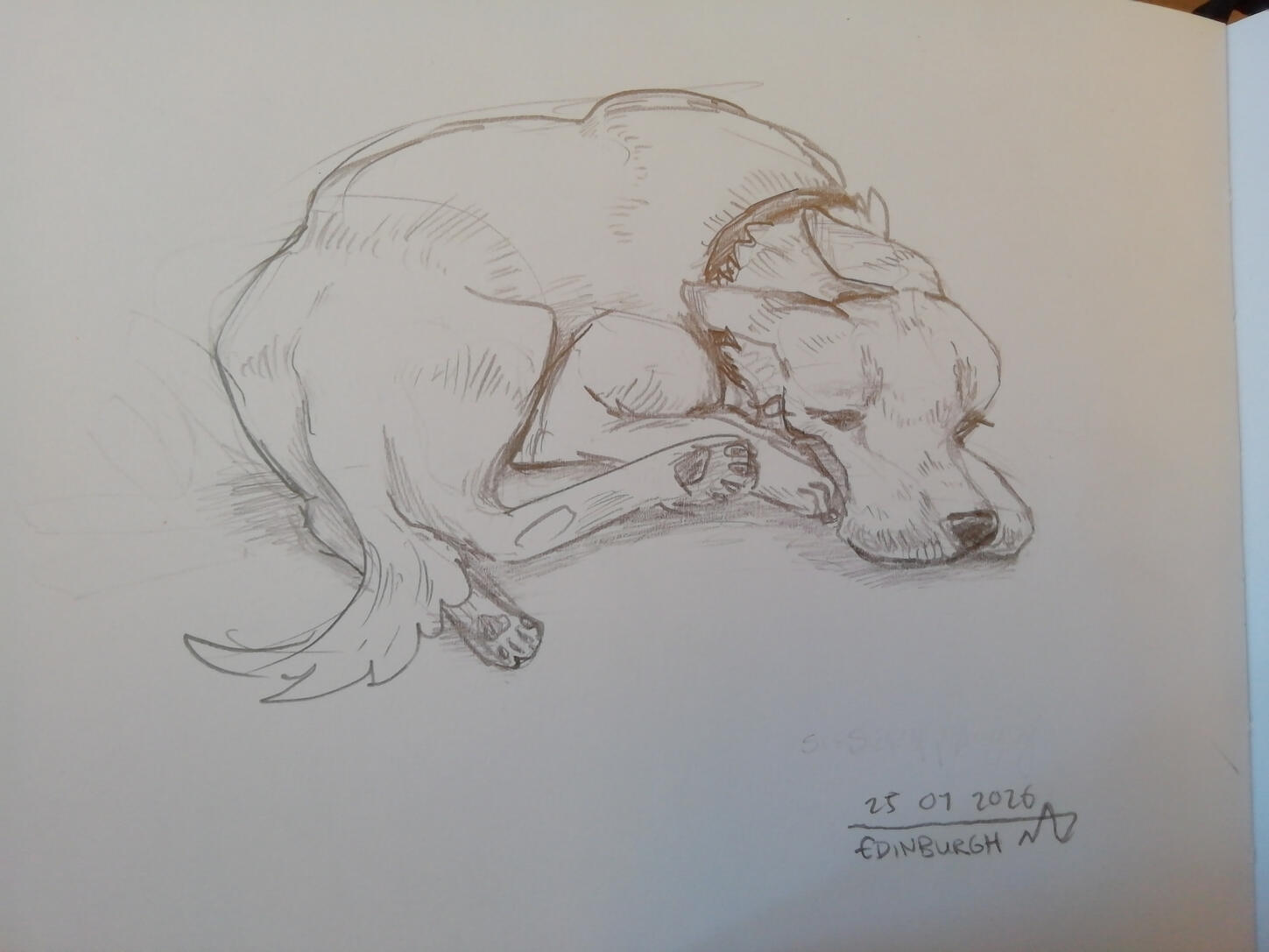 Pencil on paper, 2026