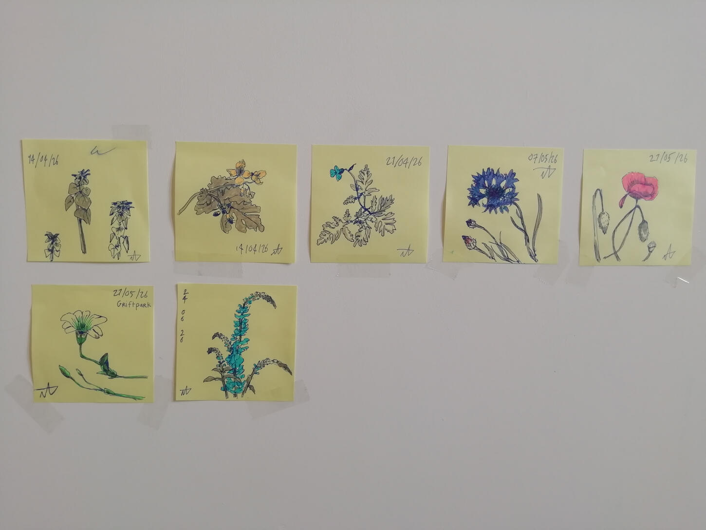 Pen and marker on sticky notes, spring 2026